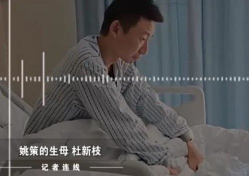 间谍保姆竟是豪门太太短剧剧情介绍_间谍保姆这个案件中存在哪些法律关系