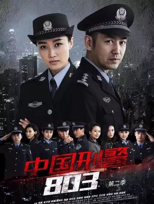 警察故事2演员表_东北警察故事2演员表