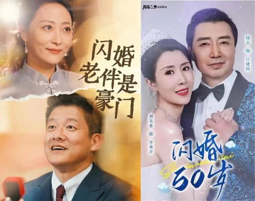 闪婚夫妇，为何那样短？——深度解析短剧剧情介绍背后的故事