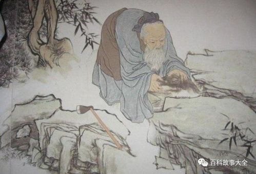 圣手狂医，悬壶济世，医术惊天地