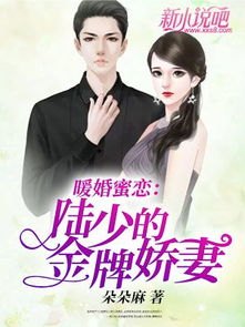 陆少的暖婚新妻，甜蜜生活的秘密