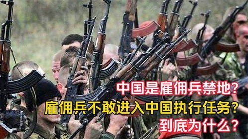 佣兵禁地全文免费阅读