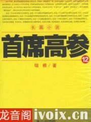 揭秘首席高参，免费全文阅读背后的智慧与价值