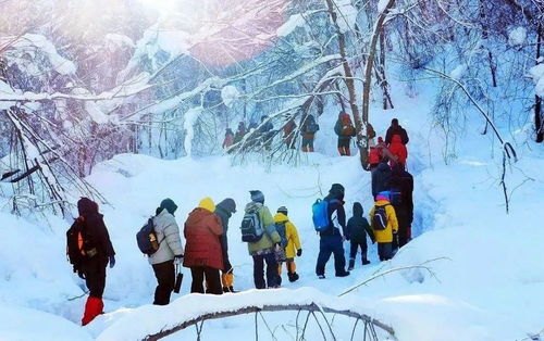 林海雪原，电视剧中的东北传奇，英雄赞歌在冰雪中绽放