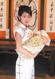 电视剧奶娘