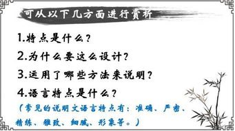 一掌经全文揭秘，千年智慧在现代的传承与应用