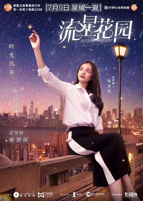 璀璨星途，逐梦光影——李兰迪演绎的电视剧作品解析