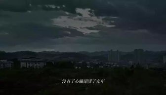 短剧夜色将明（83集）_夜色将晚什么意思