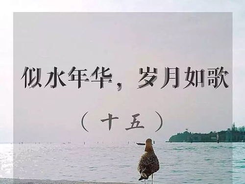 岁月如歌，年华似水——深度解读全文阅读感悟