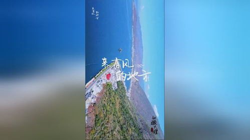 听风，一场心灵之旅的全文阅读体验