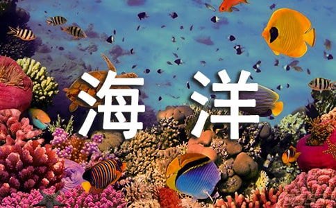 畅游文字海洋，免费小说全文下载带你领略无尽精彩