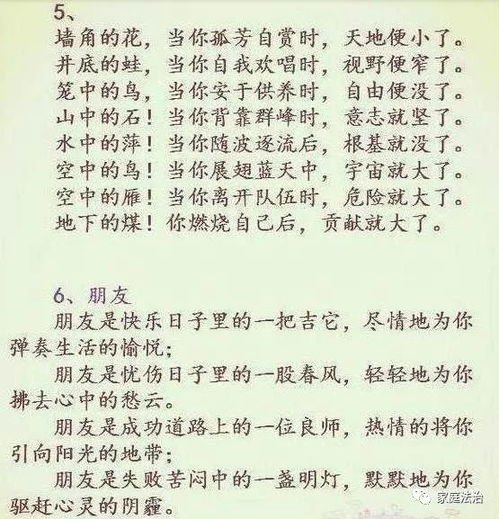 短剧那年中秋月正明（37集）_那年中秋月正圆作文600字