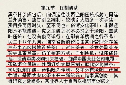 探寻白艳妮的传奇魅力——全文阅读深度解析