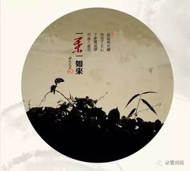 侯门嫡女，一帘幽梦，繁华落尽，她如何独领风骚？——全文阅读解析