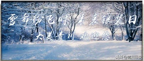 狂雪纷飞，苍穹之下的人间故事——读狂雪有感