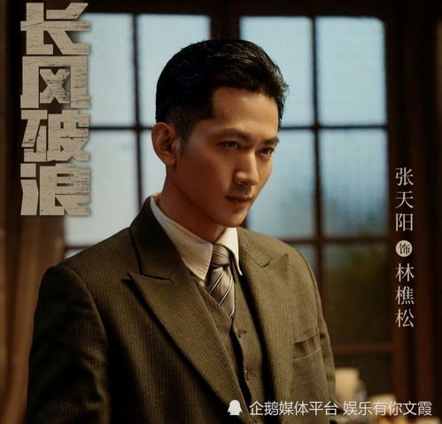 王阳电视剧作品解析，情感与成长的交织