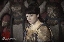 电影杨门女将演员表_电影杨门女将演员表大全