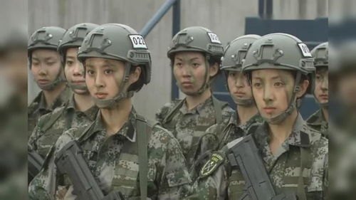 砥砺奋进的女兵风采——揭秘最新女特种兵电视剧的热播之谜