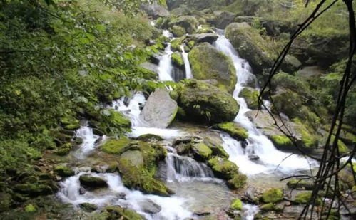 山村多娇，隐匿于山间的诗意画卷，全文阅读带你走进人间仙境