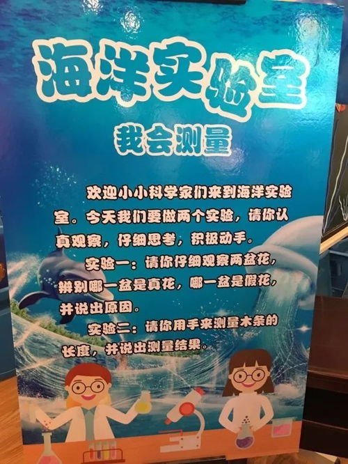 意犹未尽，沉浸书海，一次难忘的全文阅读体验