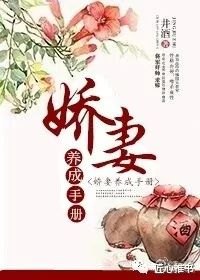 首辅养成手册，揭秘古代宰相的权谋之路——全文阅读指南