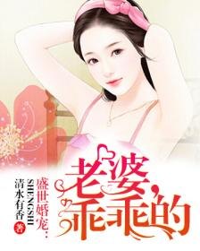 盛世婚宠全文免费阅读