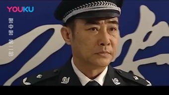 电视剧警中警第二部