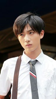 李宏毅的电视剧