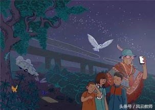 追寻青竹梦，一次穿越时空的全文免费阅读之旅