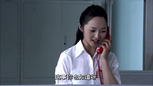 妻子的姐姐演员表_妻子的姐姐的丈夫叫什么