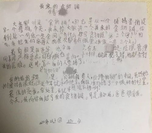 官窥全文免费阅读全文