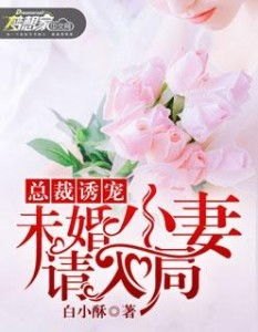 军婚诱宠免费阅读全文