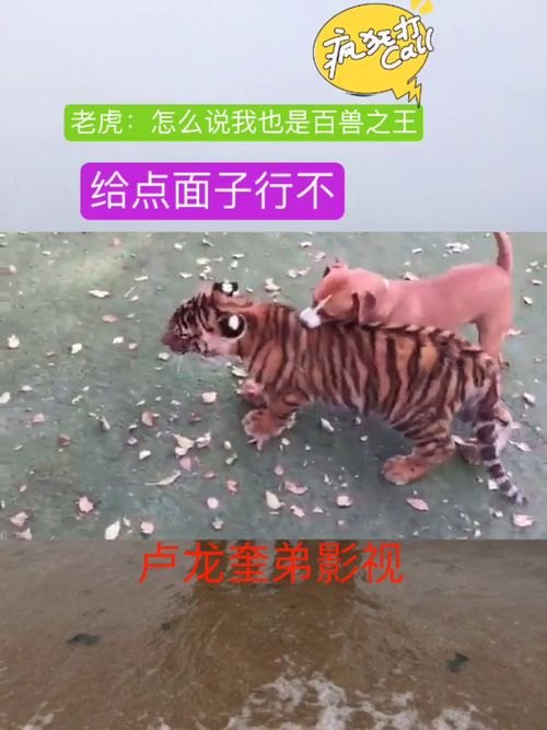 虎落平阳被犬欺全文