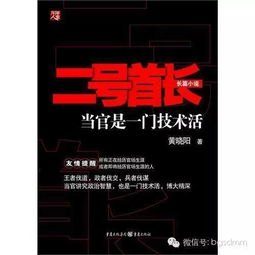 二号首长第一部全文解读，揭秘权力与情感交织的官场风云