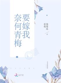 奈何珠全文