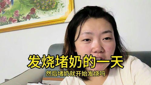 没头没脑2演员表_没头脑视频