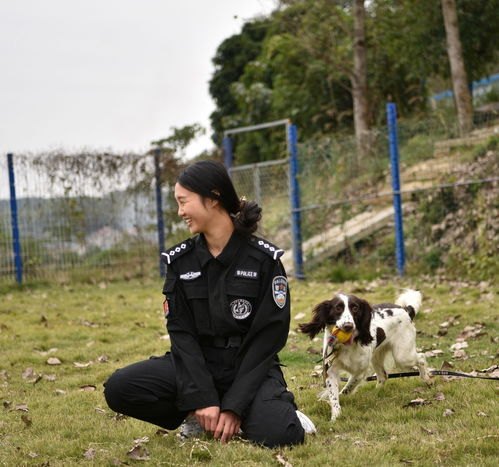 警花与警犬2演员表_警花与警犬2演员表介绍