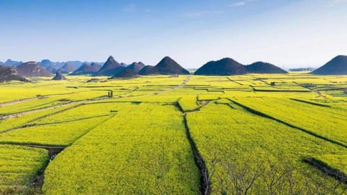 乡村春色——大地披绿，生机盎然