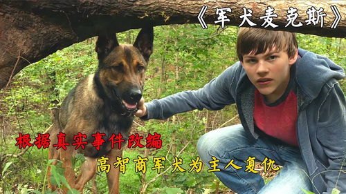 军犬麦克斯2演员表_军犬麦克斯演员表介绍