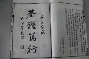 盛世藏金全文阅读