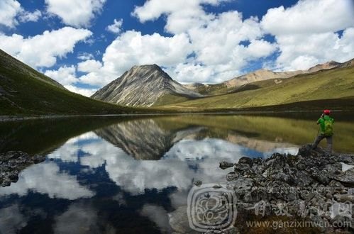 你是我的城，一场心灵之旅的全文阅读感悟