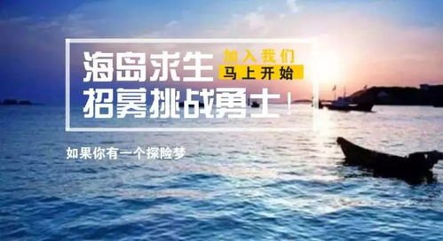 路鸟，探寻心灵旅途的共鸣之音——全文阅读指南