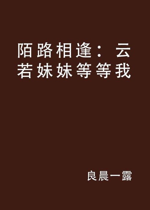 陌路相逢全文阅读