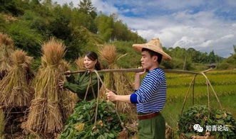 我们的知青岁月，那段激情燃烧的青春岁月