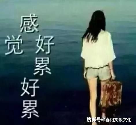 大被同眠，一部深入人心的情感史诗全文阅读体验