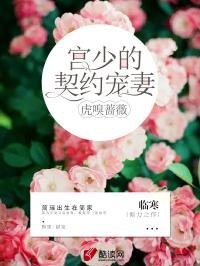 契约军婚全文免费阅读全文