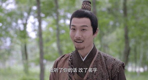 寻秦记陈翔演员表_寻秦记陈翔演员表介绍