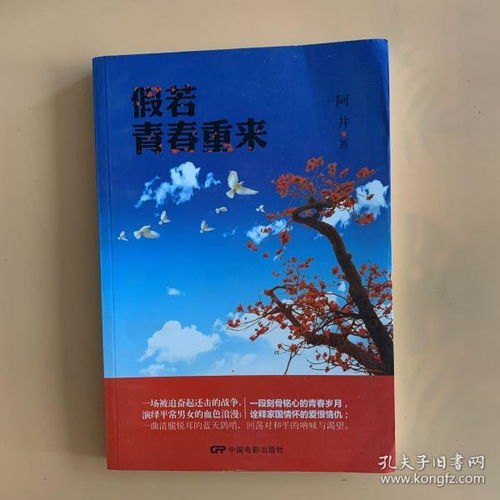 若暖年华，一段青春岁月的细腻描绘——全文阅读指南